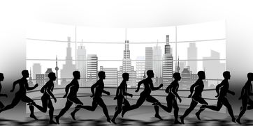 NBA球队赛事安全管理体系建设，nba球队管理系统数据库