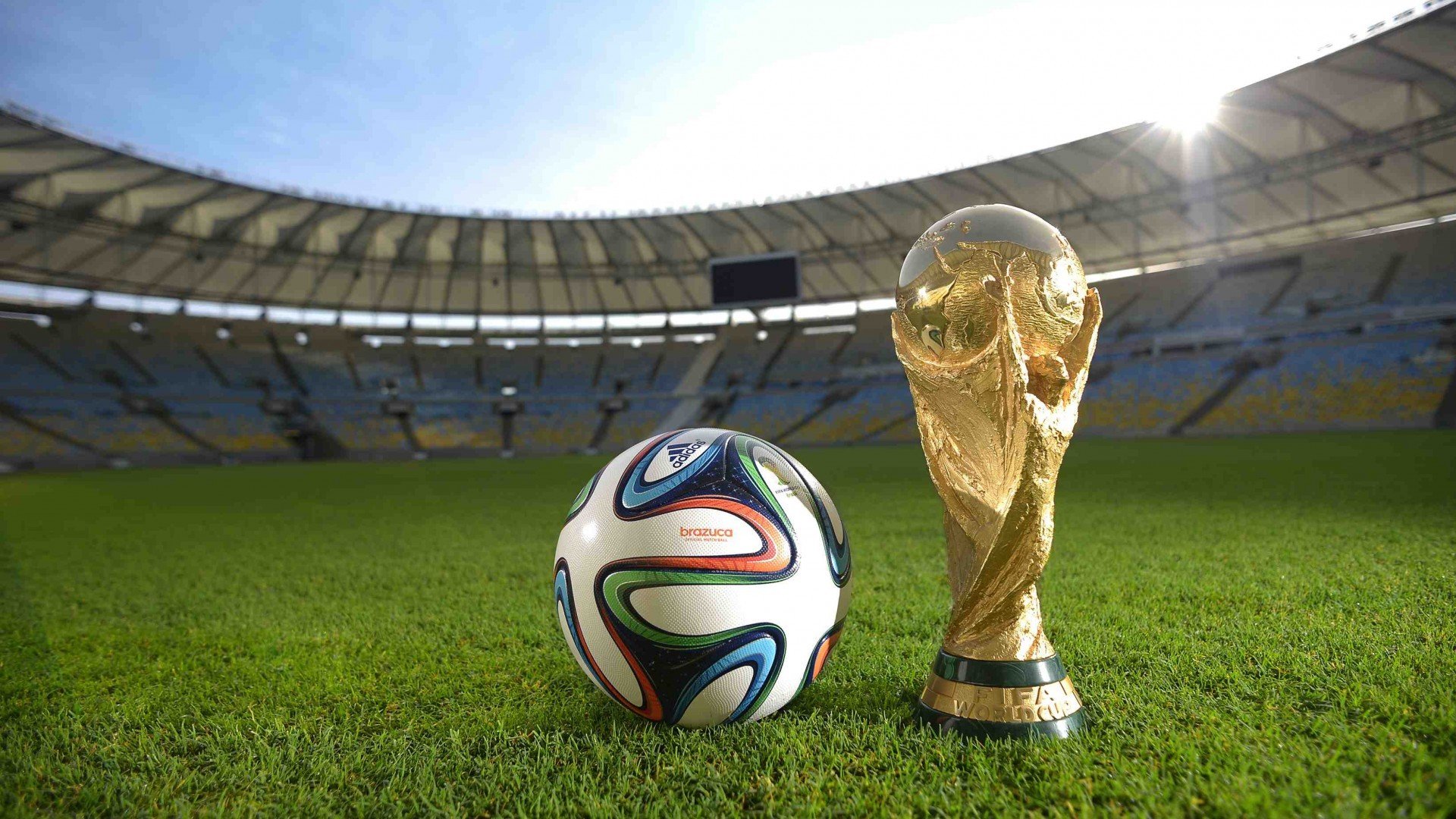 世界武术联合会公布2026年职业联赛积分系列方案，世界武术锦标赛参赛资格